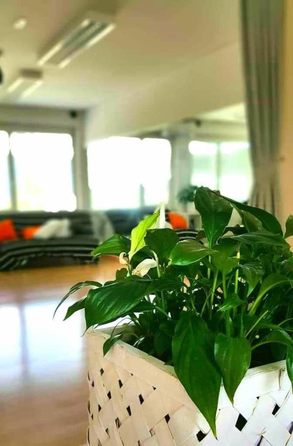 Tej Hostel Lublaň Exteriér fotografie